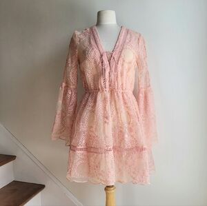 We Are Kindred Lace Sheer Blush Pink V-Neck Dress Cocktail long sleeve 4